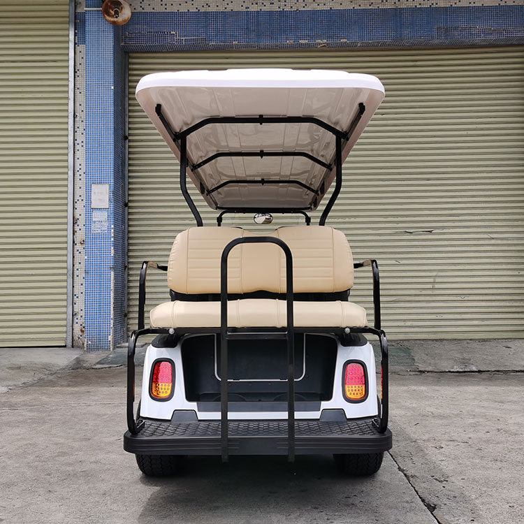 ¿Qué características de seguridad debe buscar en un automóvil turístico eléctrico moderno?