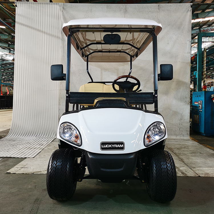 Carro de golf eléctrico de 4+2 plazas