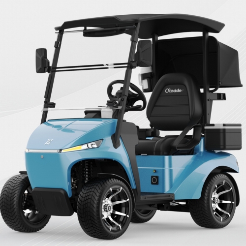 Vehículo multifuncional compacto con batería de litio de 48V, legal para la calle, carrito de golf eléctrico de un solo asiento