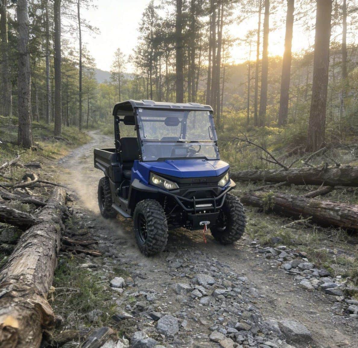 Pico eléctrico del regulador 20KW de la granja 73.6V 150Ah del rancho UTV 4WD