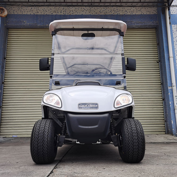 Carro de golf eléctrico de 6+2 plazas