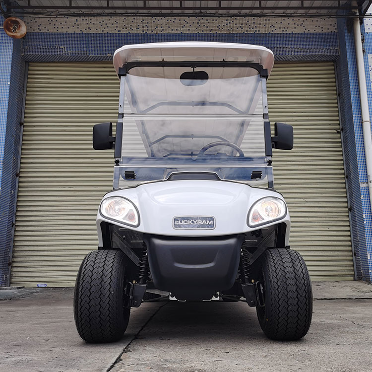 Carro de golf eléctrico de 6 plazas