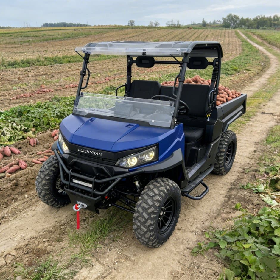 73.6V 4WD UTV 10kw Motor de CA EPS que dirige la batería 150ah