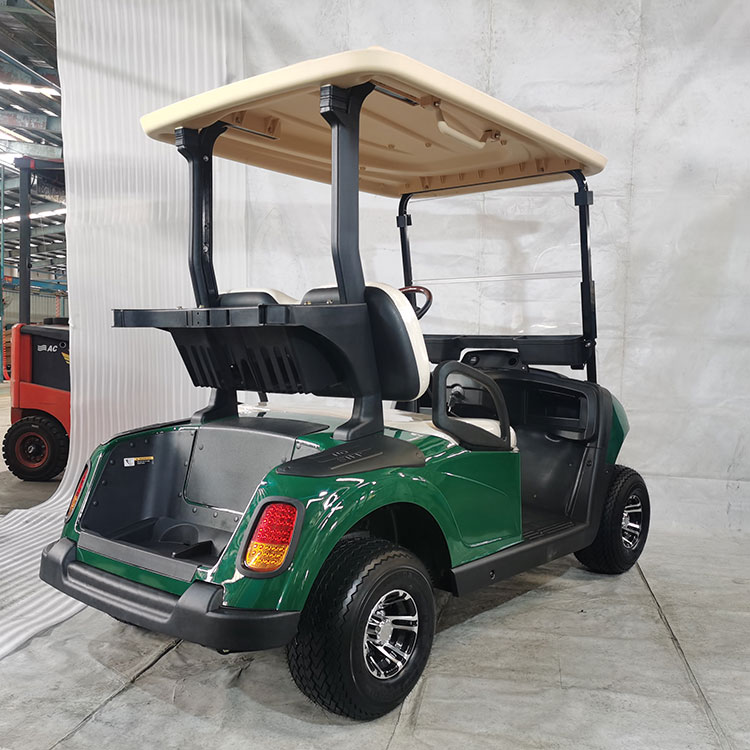 Carro de golf eléctrico multicolor de 2 plazas, equipado con batería de litio